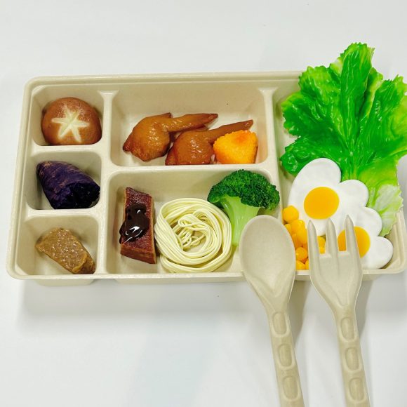 Bagasse Compartment Container